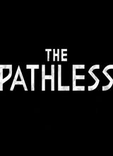 The Pathlessİ桷